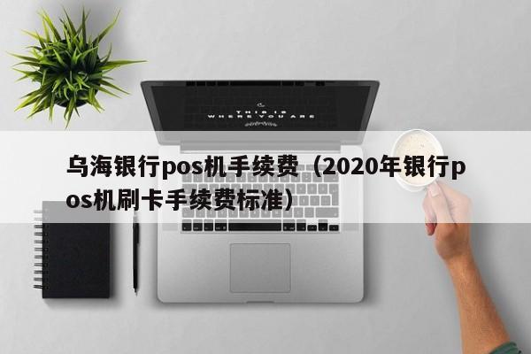 乌海银行pos机手续费（2020年银行pos机刷卡手续费标准）