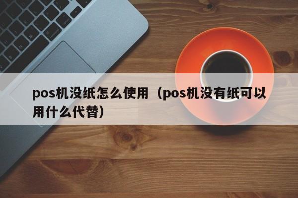 pos机没纸怎么使用（pos机没有纸可以用什么代替）