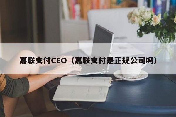 嘉联支付CEO（嘉联支付是正规公司吗）