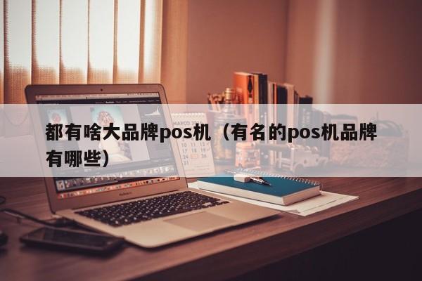 都有啥大品牌pos机（有名的pos机品牌有哪些）