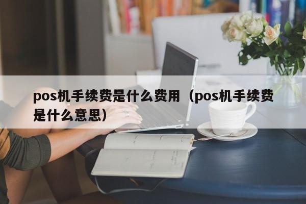 pos机手续费是什么费用（pos机手续费是什么意思）