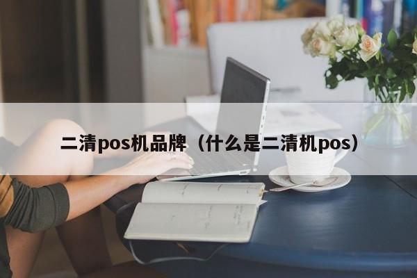 二清pos机品牌（什么是二清机pos）