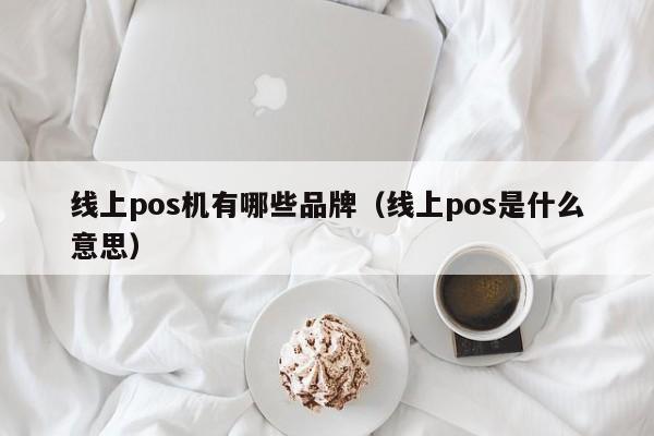 线上pos机有哪些品牌（线上pos是什么意思）