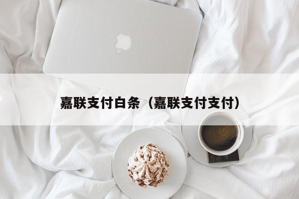 嘉联支付白条（嘉联支付支付）