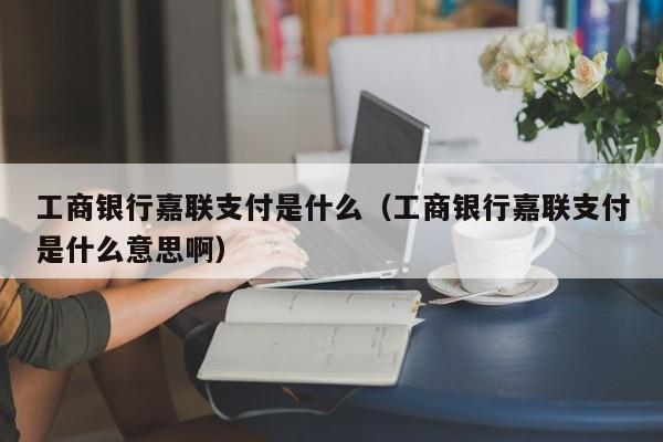 工商银行嘉联支付是什么（工商银行嘉联支付是什么意思啊）