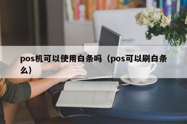 pos机可以使用白条吗（pos可以刷白条么）