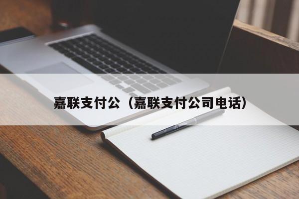 嘉联支付公（嘉联支付公司电话）