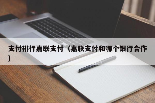 支付排行嘉联支付（嘉联支付和哪个银行合作）