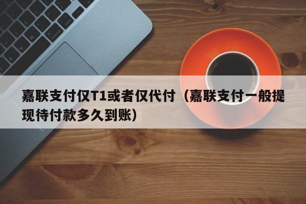 嘉联支付仅T1或者仅代付（嘉联支付一般提现待付款多久到账）