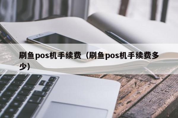 刷鱼pos机手续费（刷鱼pos机手续费多少）