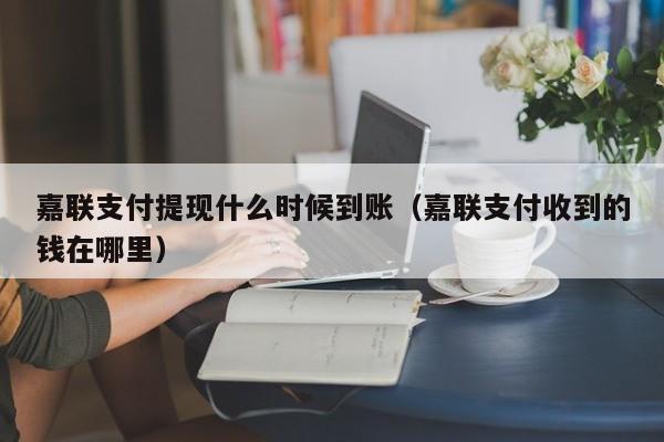 嘉联支付提现什么时候到账（嘉联支付收到的钱在哪里）