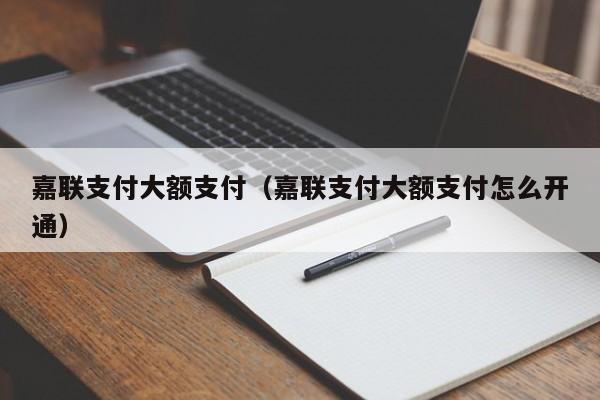 嘉联支付大额支付（嘉联支付大额支付怎么开通）