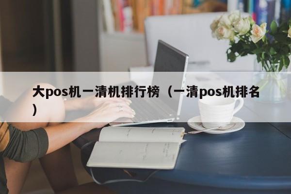 大pos机一清机排行榜（一清pos机排名）