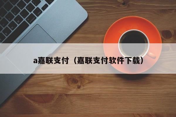 a嘉联支付（嘉联支付软件下载）