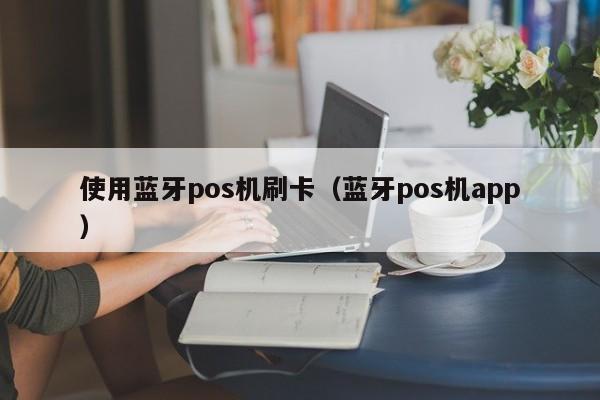 使用蓝牙pos机刷卡（蓝牙pos机app）