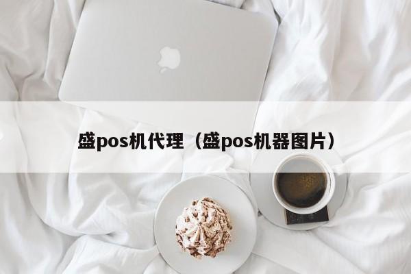 盛pos机代理（盛pos机器图片）