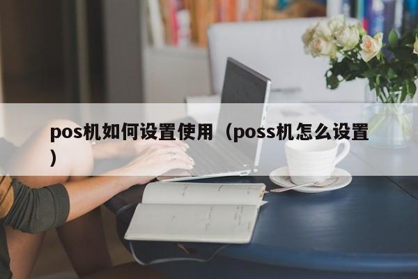 pos机如何设置使用（poss机怎么设置）