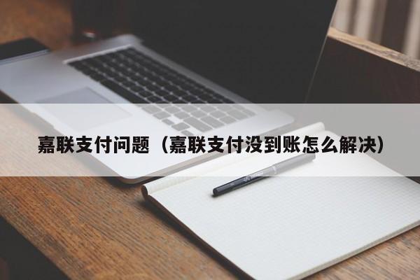 嘉联支付问题（嘉联支付没到账怎么解决）