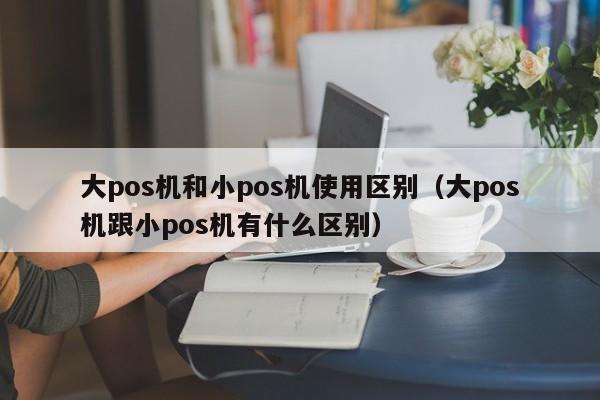 大pos机和小pos机使用区别（大pos机跟小pos机有什么区别）