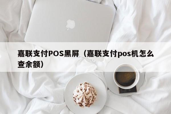 嘉联支付POS黑屏（嘉联支付pos机怎么查余额）