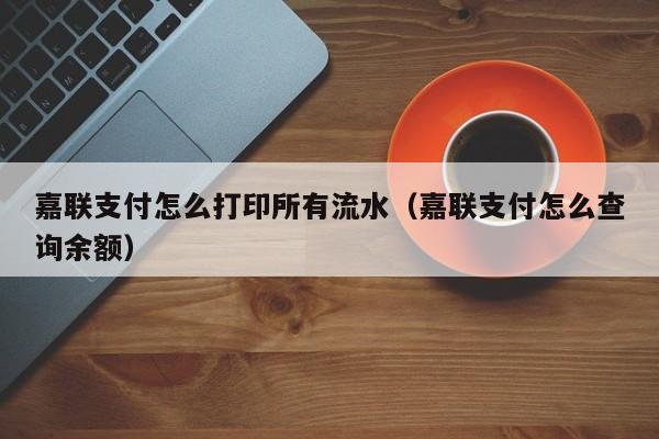 嘉联支付怎么打印所有流水（嘉联支付怎么查询余额）