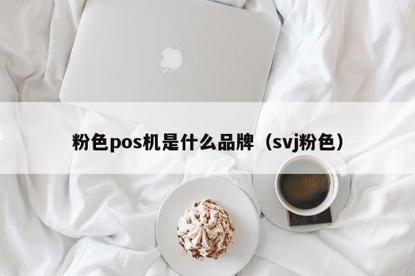 粉色pos机是什么品牌（svj粉色）