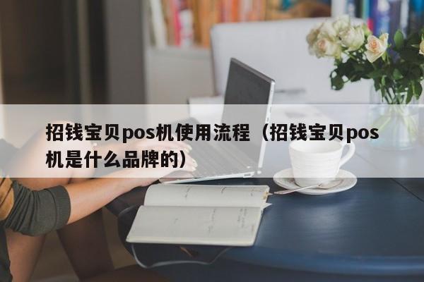 招钱宝贝pos机使用流程（招钱宝贝pos机是什么品牌的）