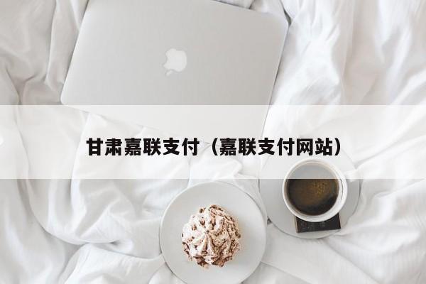 甘肃嘉联支付（嘉联支付网站）