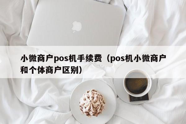 小微商户pos机手续费（pos机小微商户和个体商户区别）