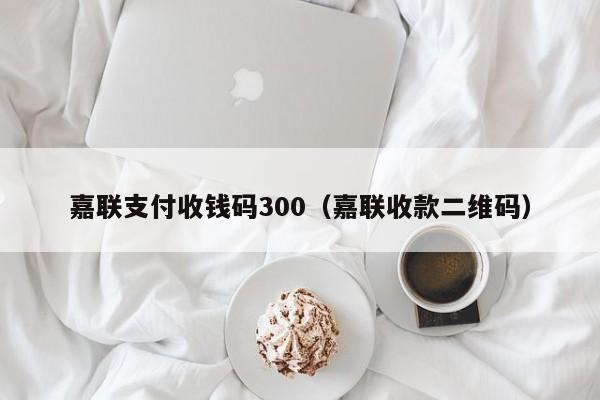 嘉联支付收钱码300（嘉联收款二维码）