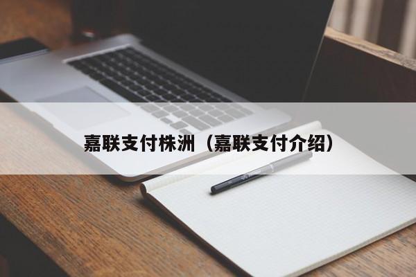 嘉联支付株洲（嘉联支付介绍）