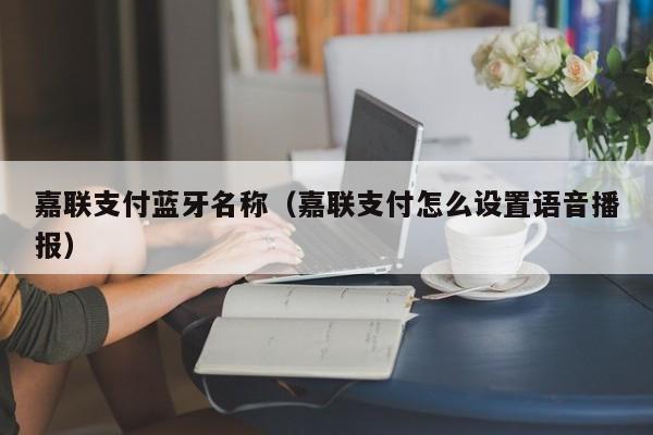 嘉联支付蓝牙名称（嘉联支付怎么设置语音播报）