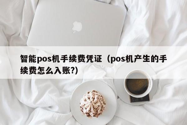 智能pos机手续费凭证（pos机产生的手续费怎么入账?）