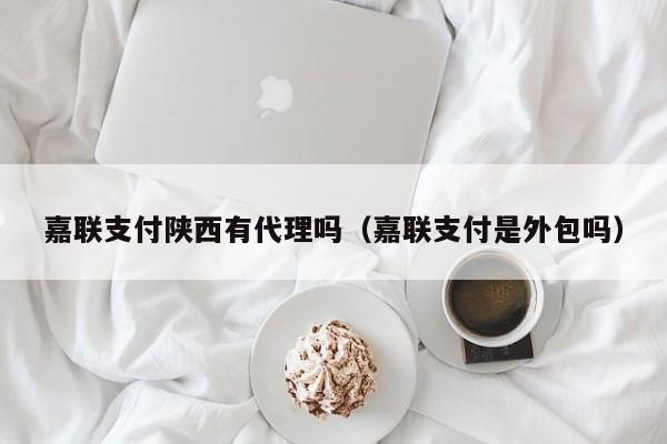 嘉联支付陕西有代理吗（嘉联支付是外包吗）