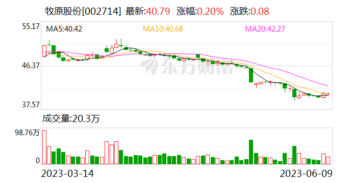 牧原股份：截至2023年5月末 公司能繁母猪数量约298万头