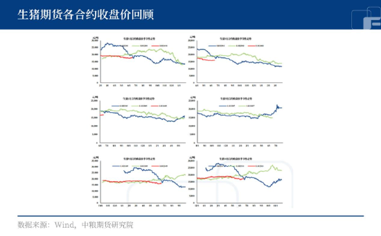 中粮期货：仔猪母猪价格双跌，生猪好转遥遥无期？