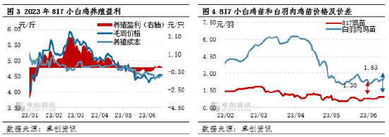 卓创资讯【817小白鸡苗】：6-7月苗市开启上行模式