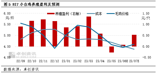 卓创资讯【817小白鸡苗】：6-7月苗市开启上行模式