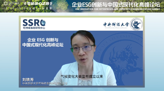 中央财经大学刘轶芳：期待可持续信息、ESG信息披露未来会像财务会计准则一样