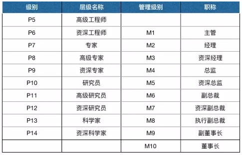 大厂高P的光环与阴暗，都散去了