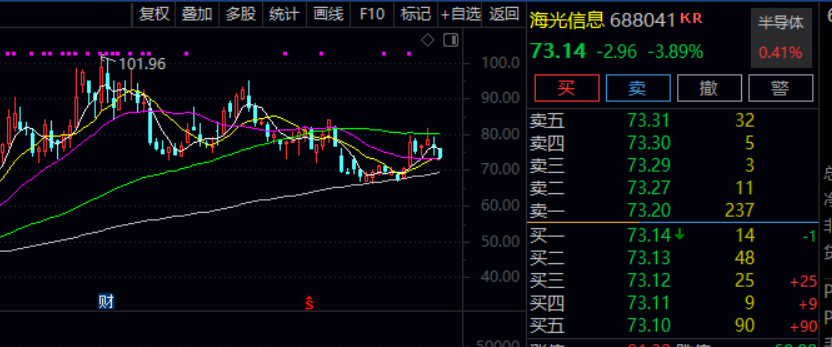 上半年偏股冠军基重仓股“大换血”！份额规模增长超10倍，部分投资者快进快出