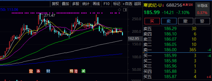 上半年偏股冠军基重仓股“大换血”！份额规模增长超10倍，部分投资者快进快出