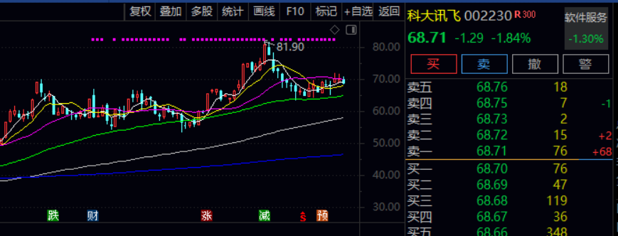 上半年偏股冠军基重仓股“大换血”！份额规模增长超10倍，部分投资者快进快出