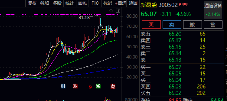 上半年偏股冠军基重仓股“大换血”！份额规模增长超10倍，部分投资者快进快出